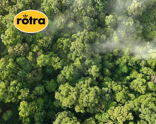 1753951221rotragreenfootprint