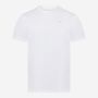 NOMAD Anapai Travel Men’s T-Shirt in White with Small Chest Logo, Short-Sleeved Basic Outdoor Apparel