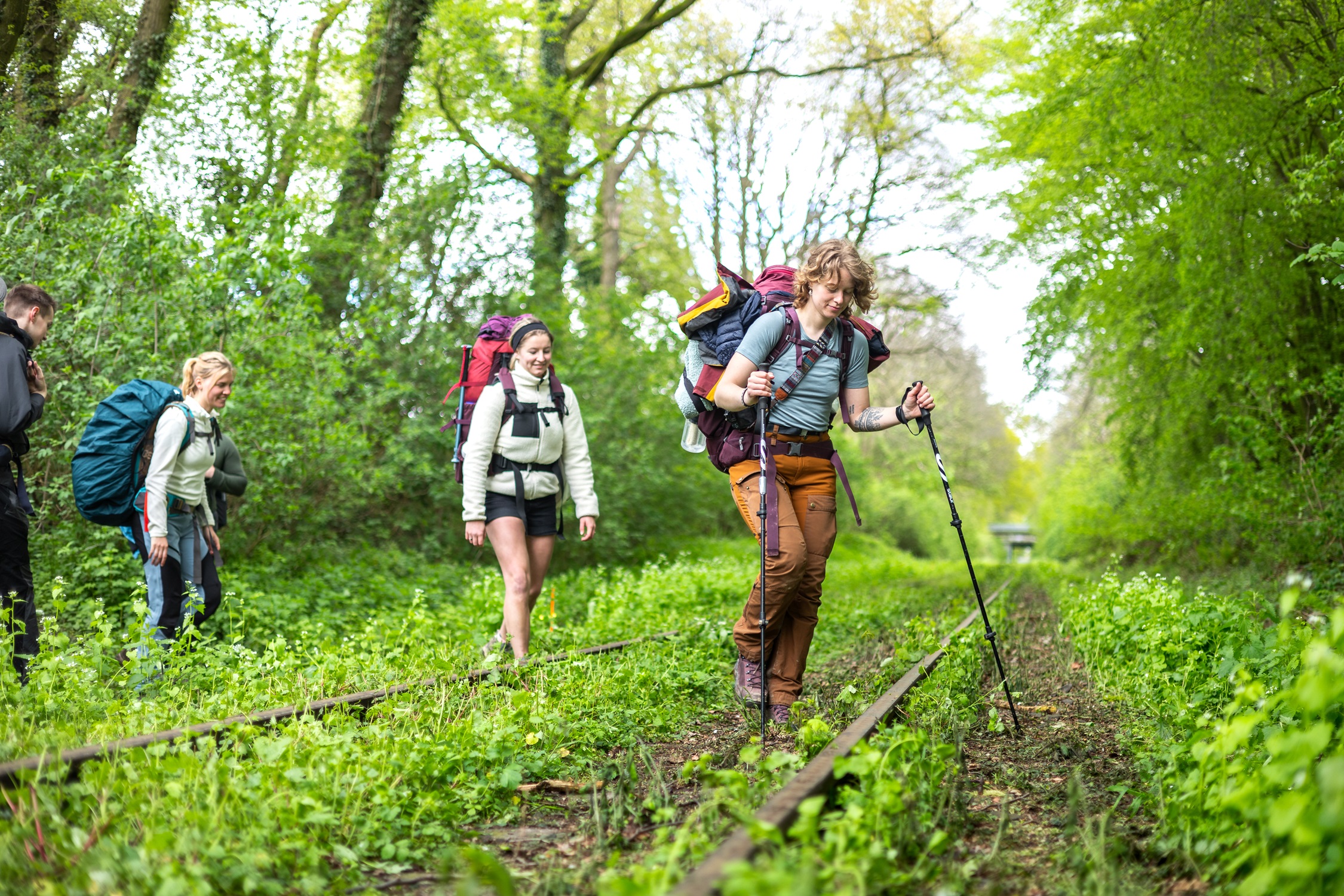 A group of people hiking in the forest